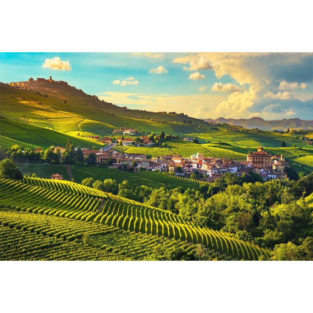 Shop by Wine Country